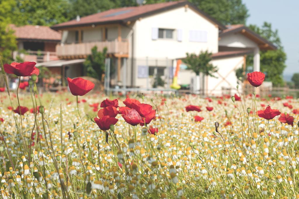 Comeback Stezzano Exterior foto